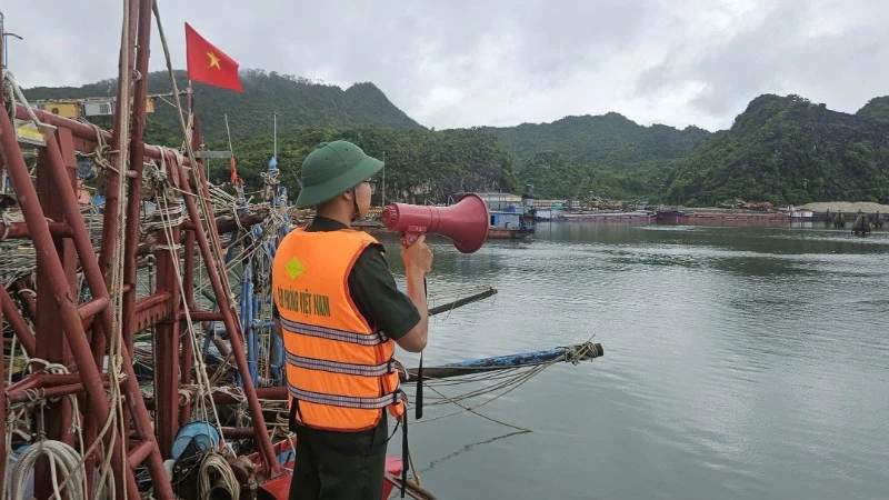 Emergency preparations and sea vessels securing safety protocols in Hai Phong.