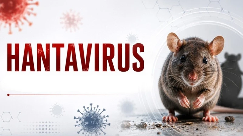 WHO Declares Andes Hantavirus Outbreak Controlled