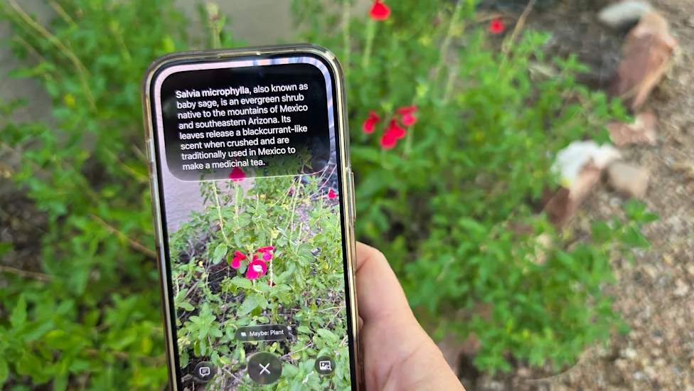 Siri AI features shown running on iOS 27 beta